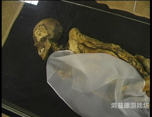 gyno日本妇科检查视频，探索女性骚聊视频APP苹果版的新视角日本妇科诊查