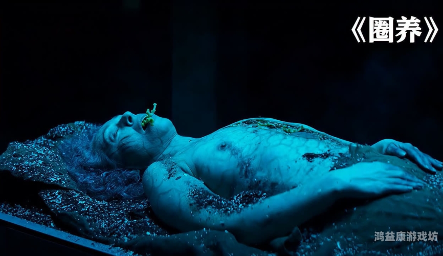 在线看片无码永久免费，探索高清视频的无限魅力在线看片无码永久免费h动漫