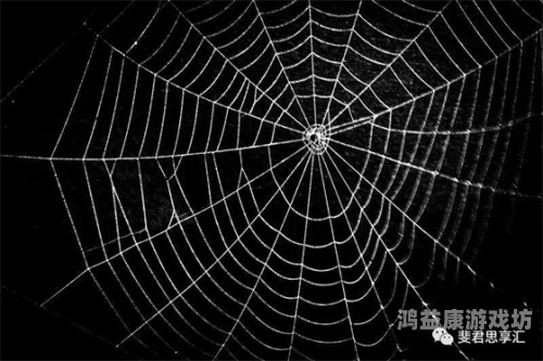 成人色吧在线，探索网络世界的神秘角落